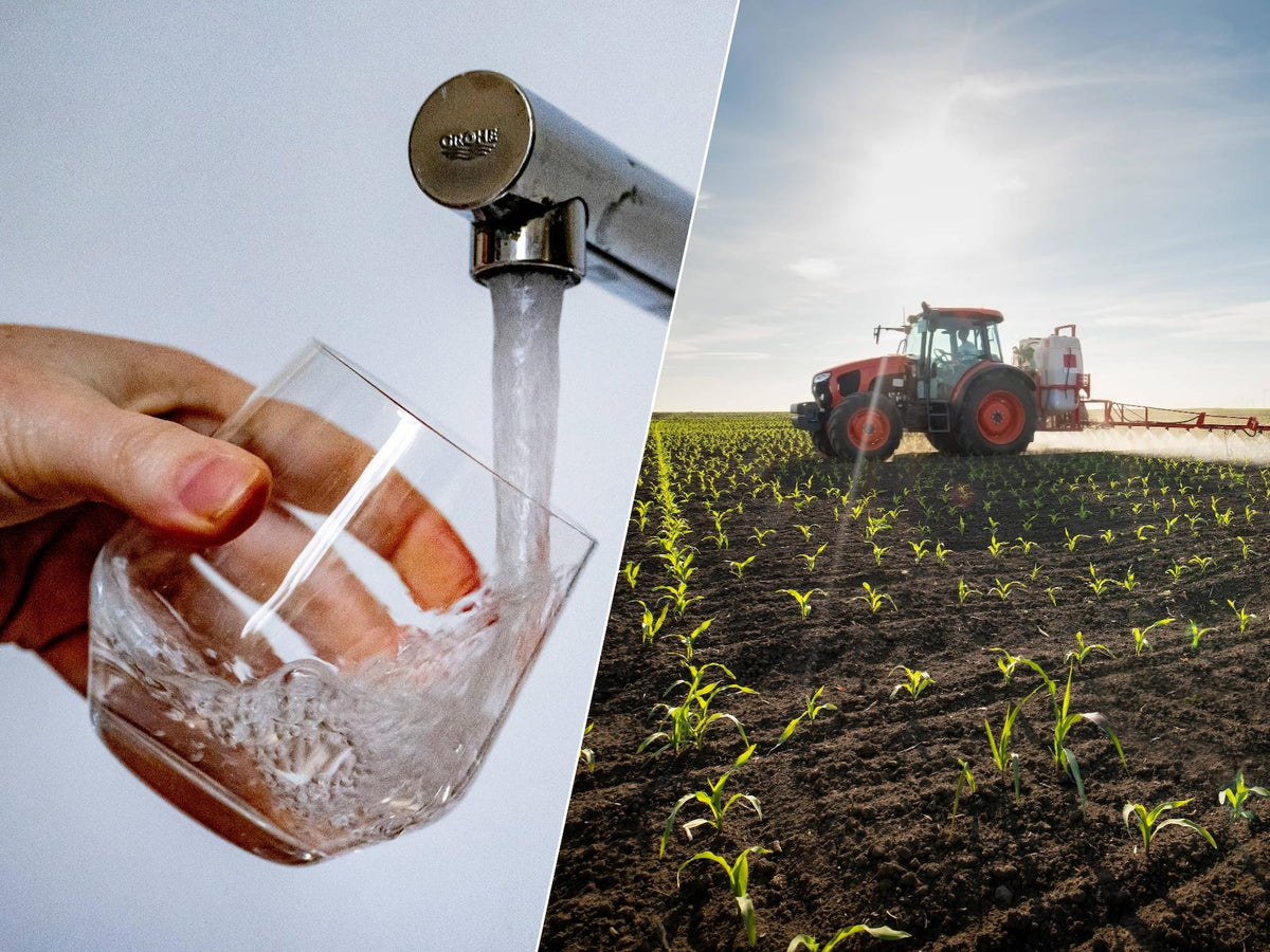 L’eau du robinet pourrait encore être contaminée par un pesticide interdit